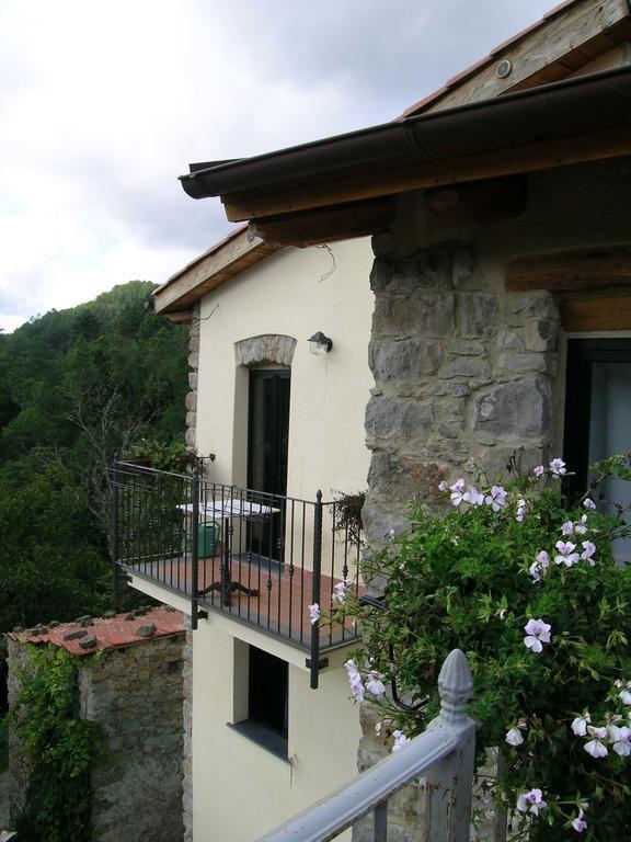B&B Il Tulipano Polverara Bagian luar foto