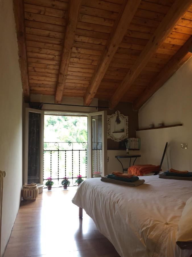 B&B Il Tulipano Polverara Bagian luar foto