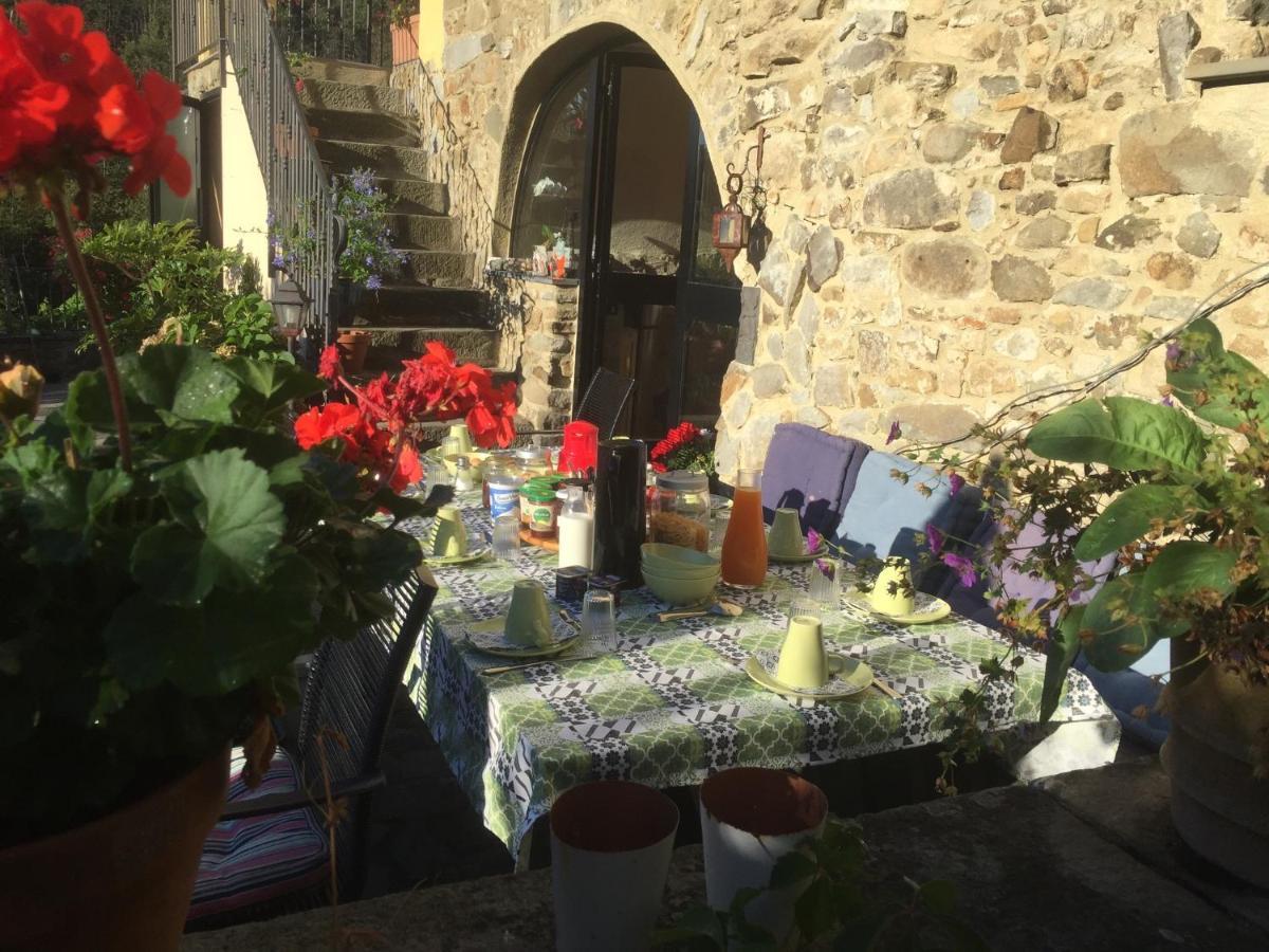 B&B Il Tulipano Polverara Bagian luar foto