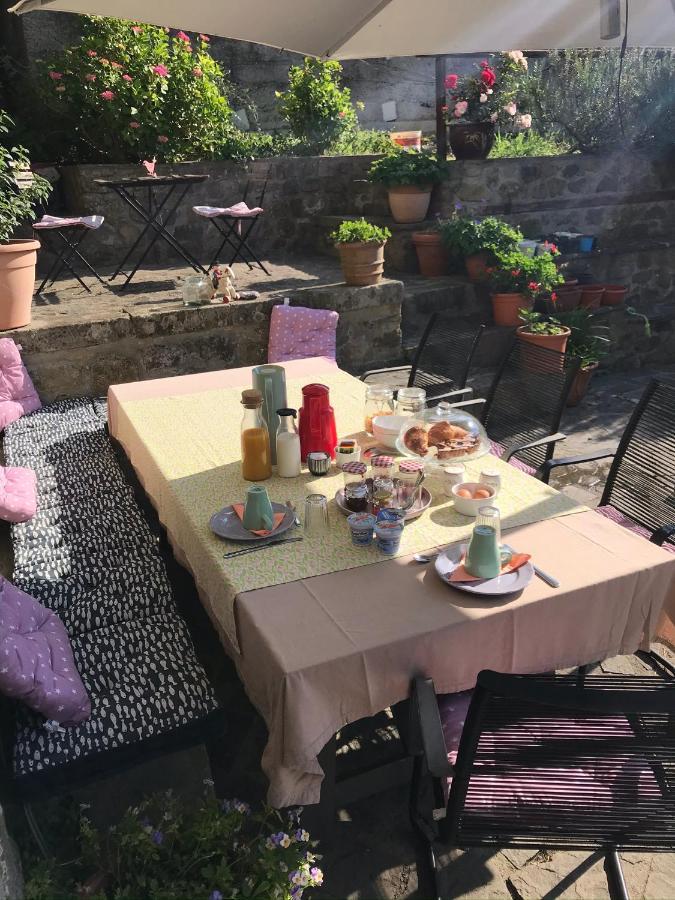 B&B Il Tulipano Polverara Bagian luar foto